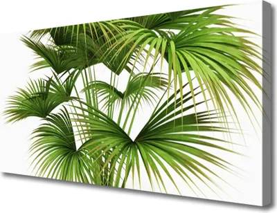 Produktbild von Tulup Leinwand-Bilder 100x50 Wandbild Canvas Kunstdruck Blätter Pflanzen