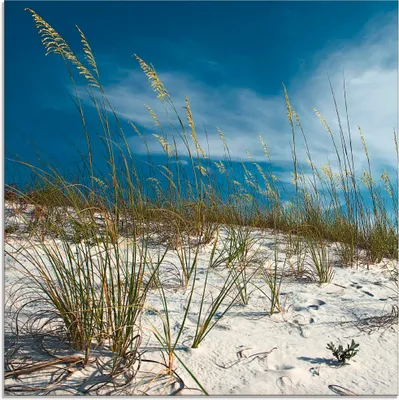 Produktbild von ARTland Glasbild Sanddüne und Gräser Größe: 50x50 cm