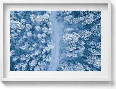 Produktbild von Wald aus der Vogelperspektive Drohne– Wandbild mit Rahmen – Gerahmtes Bild  – Wanddekoration – 70x50 cm –  Weiß Rahmen