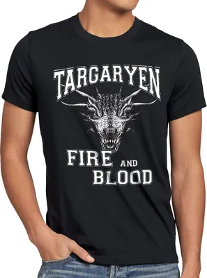 Produktbild von style3 Targaryen - Fire and Blood Herren T-Shirt