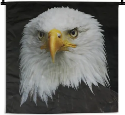 Produktbild von MuchoWow® Wandteppich Wandbehang Adler - Schwarz - Weiß 90x90 cm Tapisserie Dekoration Wandtuch - Wandaufhänger