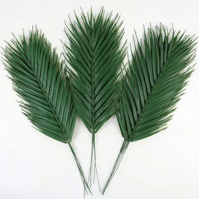 Image de CCINEE, 16 feuilles de palmier artificielles, grandes palmes artificielles