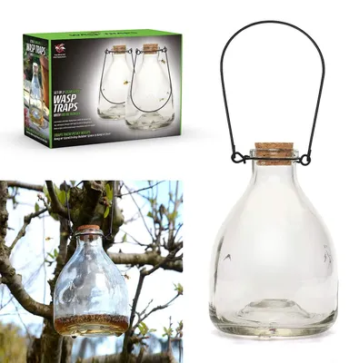 Image de Lot de 2 bouteilles en verre pour attraper les mouches, avec support métallique
