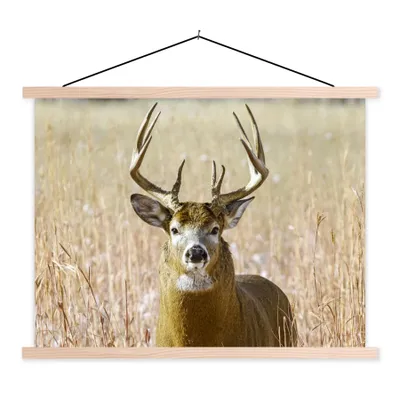 Produktbild von MuchoWow® Textilposter Hirsche - Gras - Herbst - Tiere - Natur - Geweih 120x90 cm mit holzfarbenen Rahmen - Magnetisch