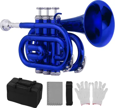 Image de Mini-trompette de poche Sib Instrument à vent plat en laiton avec embouchure Gants Chiffon de nettoyage Sac de transport