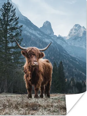 Produktbild von MuchoWow® Poster Schottische Highlander - Berg - Landschaft - Bäume - Kuh - Natur 60x80 cm - Schlafzimmer Dekoration