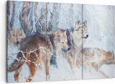 Produktbild von Bild auf Leinwand - Leinwandbild - Wolf Tier Wald - 105x70cm - Wand Bild - Wanddeko - Wandbilder - Leinwanddruck - Bilder - Kunstdruck - Wanddekoration - Leinwand bilder - Wandkunst - CE105x70-3770