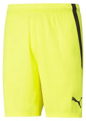 Produktbild von PUMA teamLIGA Shorts