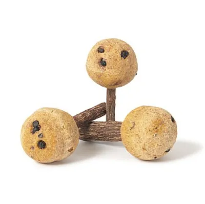 Immagine prodotto di PaRRot Cafe Club - Biscotti PaPuzie su bastoncino 100g