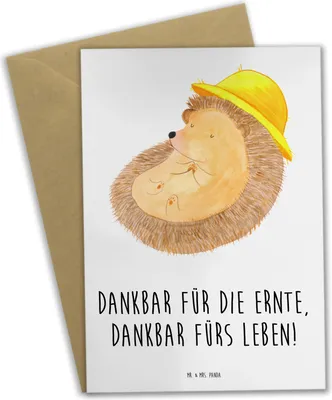 Produktbild von Mr. & Mrs. Panda neujahrskarte Erntedankfest Dankbarkeit - Weiß - Geschenk, Feiertag, Freunde, kommunionskarte, hochzeitskarten, weihnachtskarten, osterkarten, osterkarte