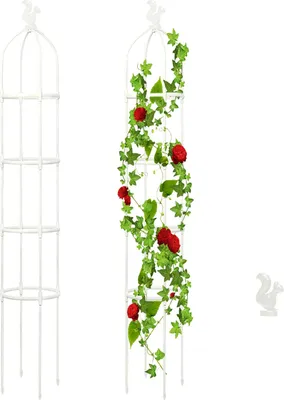 Image de Jardinage Plante grimpante Vigne grimpante Treillis pour plantes grimpantes