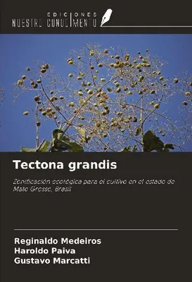 Produktbild von Tectona grandis