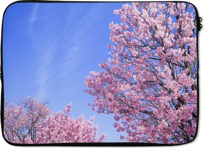Produktbild von MuchoWow® Laptop Hülle 14 ZollKirschblüte gegen blauen Himmel Laptoptasche - Laptoptasche - Stoßsicher - Schutzhaube