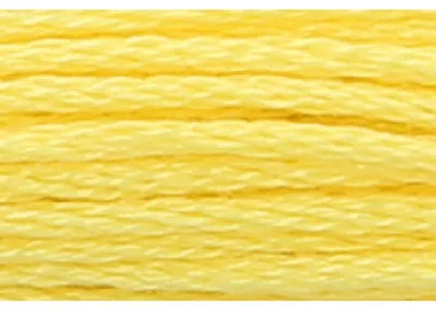 Immagine prodotto di Filo da ricamo Anchor Mouline Color 289, a 6 fili, 8 m