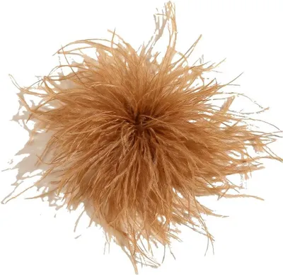 Productafbeelding van Veer Broche - Pluim Broche - Feestelijke Decoratie - Natuurlijke Struisvogelveren - 8-10cm - Rood