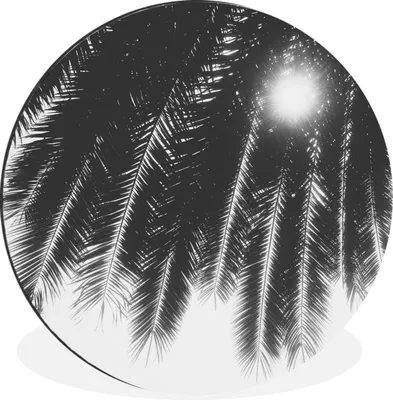 Produktbild von MuchoWow® Aluminium Wandkreis Palmenblätter - Tropisch - Sonne - Palme Ø 60 cm Wanddeko Modern Wohnzimmer - Wand Kreis - Wandbild - Schlafzimmer - Aluminium Bild - Kinderzimmer - Wohnzimmer Dekoration - Wandschmuck