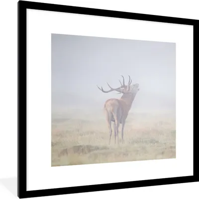 Produktbild von MuchoWow® Gerahmtes Poster Hirsche - Gras - Nebel 40x40 cm - Poster mit Schwarzem Bilderrahmen Wandposter Rahmen Foto Bilder - Poster - Plakat im Rahmen