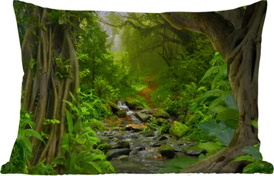 Produktbild von MuchoWow® Outdoor Kissen - Natur - Wasser - Dschungel - Wald - Tropisch - 60x40 cm - Wetterfest - Lounge Kissen - Zierkissen - Kissen für Innenräume