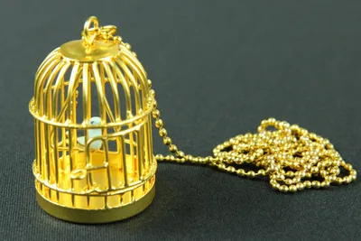 Produktbild von Vogelkäfig Kette Halskette Miniblings 80cm Vogel Vogelkette goldener Käfig gold