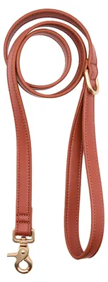 Produktbild von CAFIDE Jala Hundeleine Braun, 1,4 m,