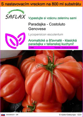 Obrázok produktu pre SAFLAX Garden in the bag - Paradajka - Costoluto Genovese - Lycopersicon esculentum - 10 Semená - S pestovateľským substrátom v praktickom samostaviteľnom vrecku
