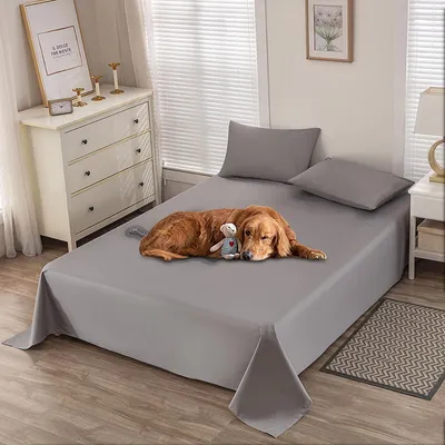 Produktbild von Wasserdichte Hundedecke 200 x 230 cm - Urinbeständig, Rutschfest und Waschbar