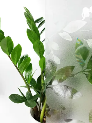 Produktbild von Statisch Fensterfolie 90x50 cm - Blätter 3D - Sichtschutzfolie Fenster Milchglas Design statisch haftend - Fensterfolie Blickdicht für Bad und Büro - Tageslicht genießen, Sichtschutz erhalten