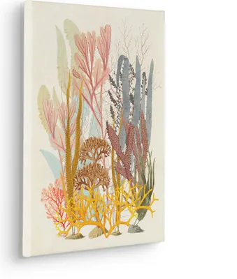 Produktbild von Keilrahmenbild - Coral Aqua - Größe 30 x 40 cm