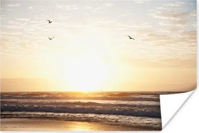 Produktbild von MuchoWow® Poster Sonne - Vogel - Meer 120x80 cm - Bilder