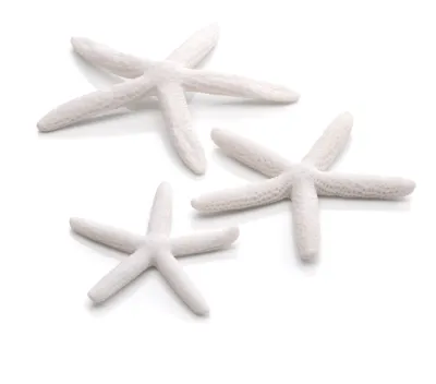 Obrázek produktu pro biOrb Starfish set 3 white