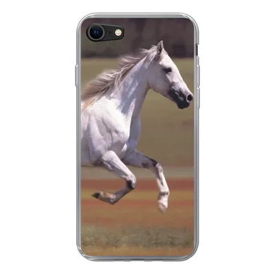Produktbild von MuchoWow® Handyhülle Schutzhülle Hülle für iPhone 7 Pferd - Licht - Gras Silikon Softcase Handy Hülle - Kartenhalter