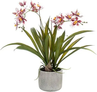 Obrázek produktu pro Umelá rostlina orchidej - Bordeaux - 45cm - Umelá orchidej v kvetináci, která