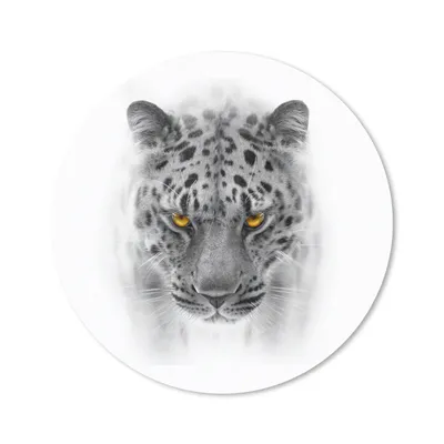 Produktbild von MuchoWow® Mauspad Mousepad Leopard - Schwarz - Weiß - Tiere 20x20 cm - Mousepads - Maus Mat - Pad - Mausunterlage - Schreibtischmatte