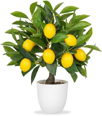 Image de Plante artificielle : citronnier, 40 cm, pot blanc