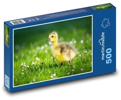 Produktbild von martinpuzzle - Puzzle 500 Teile - Grasnugget