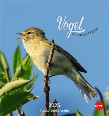 Produktbild von Vögel in unseren Gärten Postkartenkalender 2025