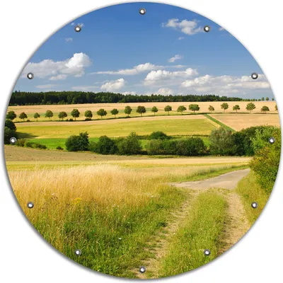Produktbild von Wallario rundes Outdoor-Poster für Garten oder Balkon, Motiv Feldlandschaft unter blauem Himmel, 90 cm Durchmesser