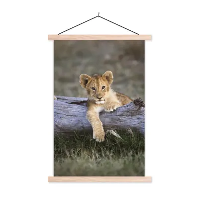 Produktbild von MuchoWow® Textilposter Jungtier - Tier - Natur 60x90 cm mit holzfarbenen Rahmen - Textil