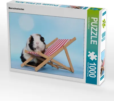Produktbild von CALVENDO Puzzle Meerschweinchen | 1000 Teile Lege-Größe 64x48cm Foto-Puzzle für glückliche Stunden