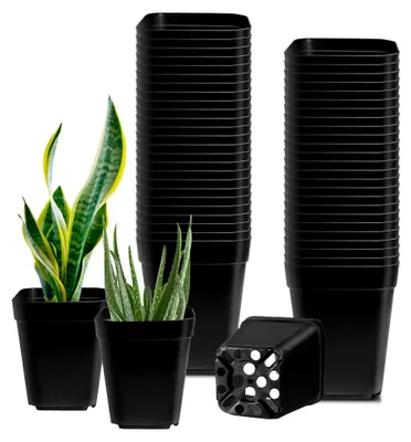 Produktbild von 50 Stück Anzuchttöpfe, Pflanztöpfe für Flachwurzler wie Sukkulenten und Kakteen, mit Bodenperforation für Drainage