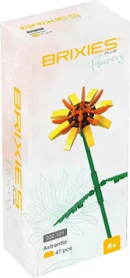 Immagine prodotto di Brixies Plus Astrantia gelb (*) (*) STK