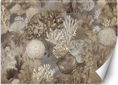 Produktbild von Vlies fototapete Meerestiere und -pflanzen 400x280 cm Feeby Beige inkl. Kleber einfache Montage