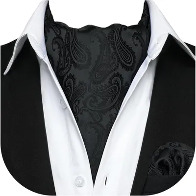 Imagen del producto de Bufanda tipo corbata para hombre, estilo Ascot, color , estampado Paisley, talla única