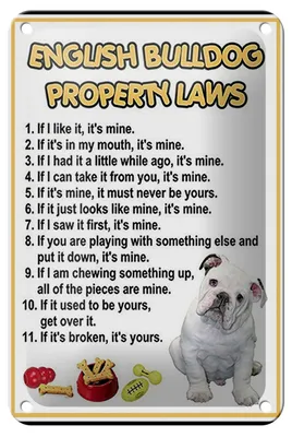 Produktbild von Blechschild Spruch 12x18cm english bulldog property laws
