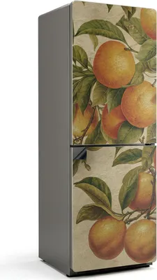 Produktbild von Früchte am Zweig – Magnetische Kühlschrank Abdeckung – Dekorfolie magnetisch Küche – Kühlschrank Magnet Deko – selbstklebende Magnettafel – Magnetfolie für Kühlschranktür – 70x190 cm