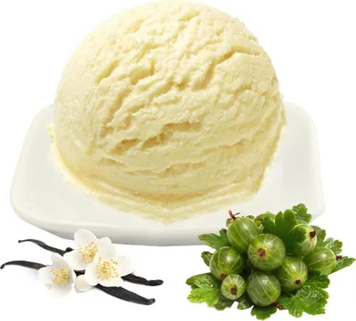 Produktbild von Vanille Stachelbeere Low Carb Eis Pulver Vegan Zucker-, laktosefrei 1 kg