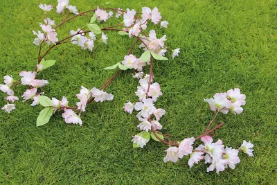 Zdjęcie produktu dla Gilde Girlande Pfirsichblüte  rosa 53838