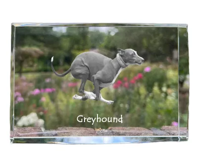 Obrázek produktu pro Art-Dog Fotorámeček – Chrt
