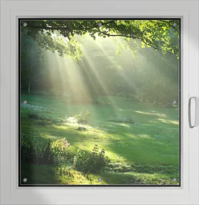 Produktbild von Wallario Lichtschutzbild, Dekorativer Sichtschutz Sonnenschutz 96 x 93 cm mit Motiv: Sonnenstrahlen im Wald - Verdunklung ohne Bohren
