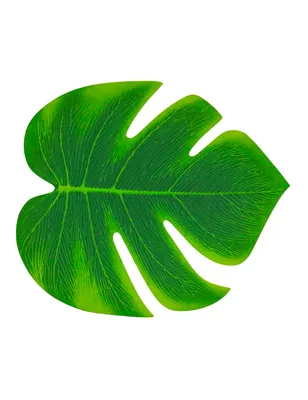 Obrázek produktu pro Tropické palmové listy zelené 21x18 cm 4 kusy Párty dekorace